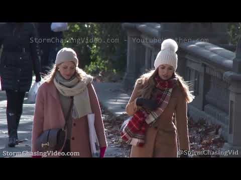 Record Cold Hits Central Park 5th Ave in New York City, NY – 11/13/2019