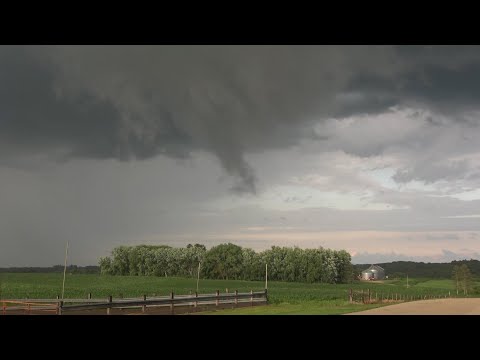 Mower County, MN Severe Storms And Possible Tornado – 6/28/2020