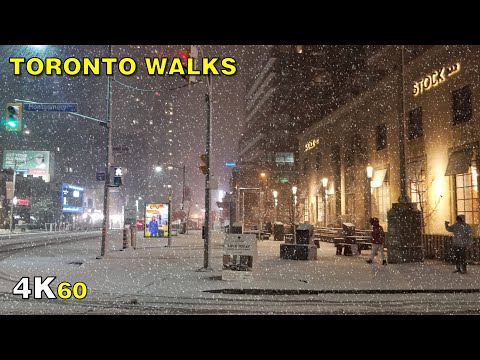 Toronto’s First Snowfall of the Season Walk on November 1, 2020