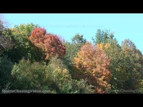 Pretty Fall Colors, Barron County, WI – 9/22/2021