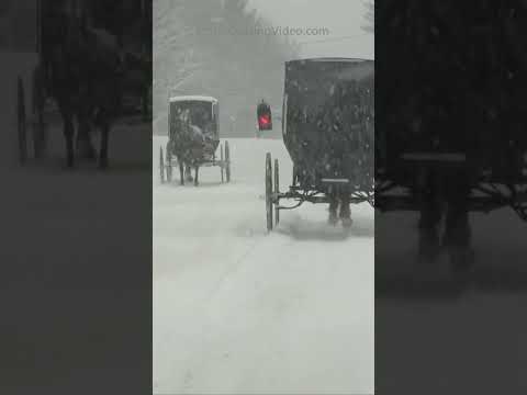 Caught in a Snow Storm in a Horse and Buggy!