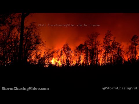 Multiple Wildfires Rage Out Of Control In Bay County, FL – 3/6/2022