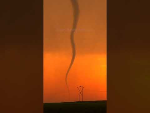 AMAZING Sunset Snake Tornado! Rope Out Phase #shorts