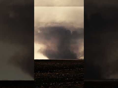 Large Tornado Rips through the Field! #shorts