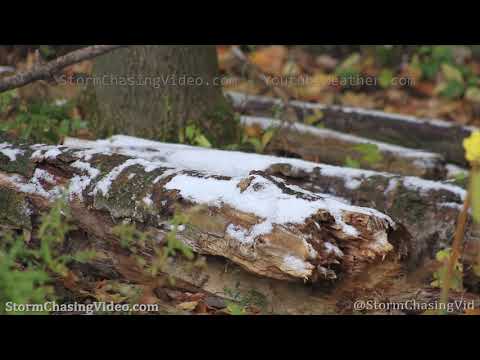 Barron County, WI First Snow Fall – 10/12/2019