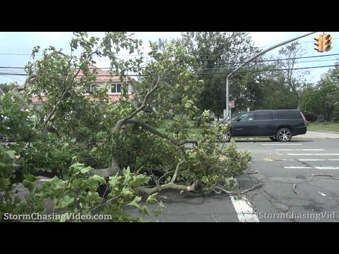 Tropical Storm Isaias, Wind Damage,  Nassau County, NY – 8/4/2020
