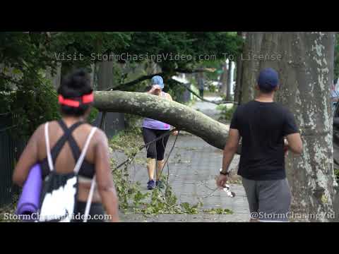 Isaias Aftermath, Astoria Park Queens NYC, NY – 8/5/2020