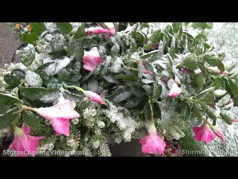 First Snow Fall Of The Season In Littleton, CO – 9/8/2020