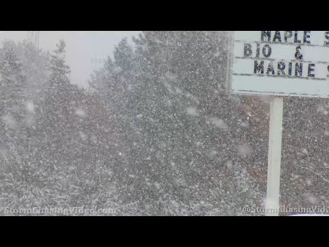 Winter Storm Hits Central Wisconsin – 2/4/2021