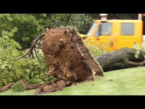 Mchenry County, IL Severe Storms And Damage – 9/7/2021