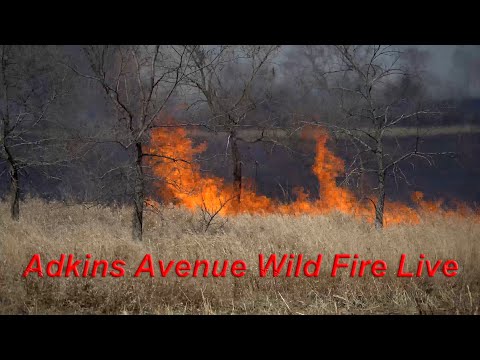 🔴 LIVE – Adkins Avenue Wildfire Near Springfield, Florida – 3/5/2022