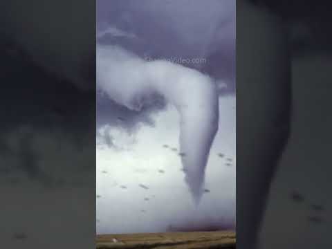 Wild Snake Tornado in Colorado! June Blast from the Past #shorts
