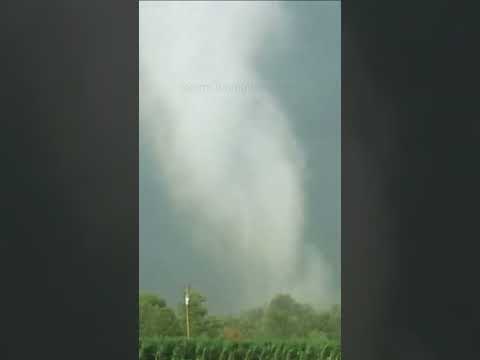 Tornado Birth Up Close and Personal! Searles MN Anniversary Today – Storm Chasing Video #shorts