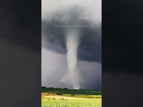July Tornado Countdown #4! White Cone Craziness – Storm Chasing Video #shorts
