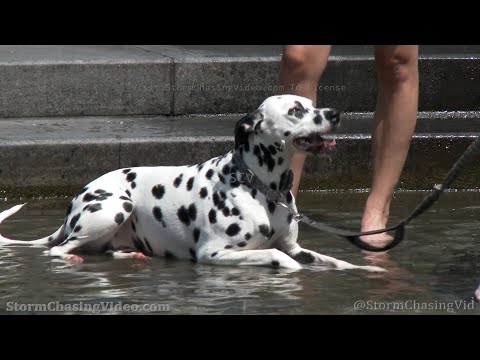 Washington Square Park Manhattan Heat Wave – 7/24/2022