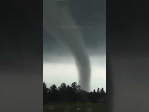 A Perfect Cone Tornado Spins Behind the Trees #shorts