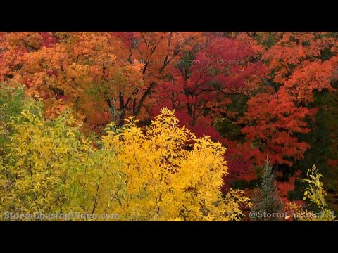 Minnesota River Valley Drought and Fall Colors Footage