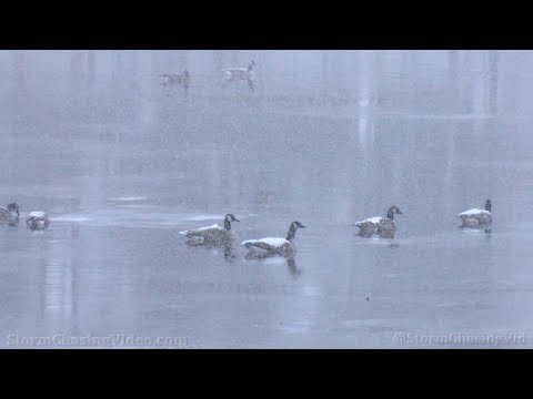 Rice Lake, WI Winter Snow Scenes – 11-29/2022