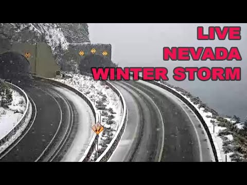 🔴 LIVE Nevada Winter Storm Cams