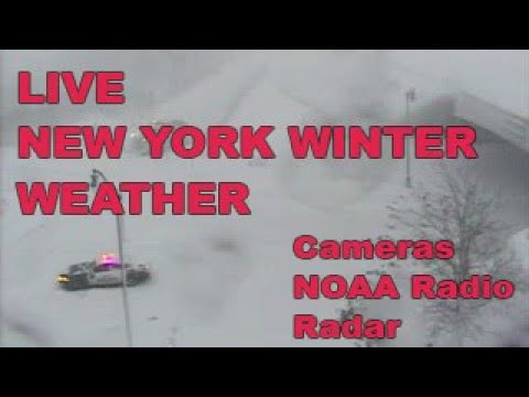 🔴 LIVE New York Winter Storm Cams & Radar