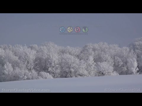 New Prague, MN Heavy Hoar Frost and Snow – 1/6/2023