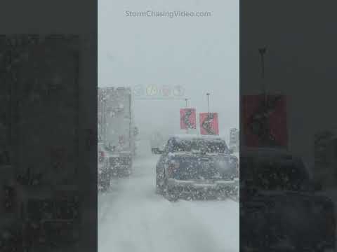 Traffic Nightmare in Colorado Winter Storm This Week #shorts