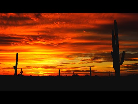 Amazing Landscape Cutaways Of Arizona Scenes