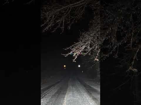 Tree Falls on Truck Destructive Ice Storm in Michigan #shorts