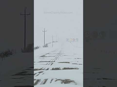 Blizzard Warnings and Accident in NW MN Today 3/11/23