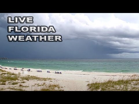 🔴 LIVE IRL – Southwest Florida Weather March 13 2023