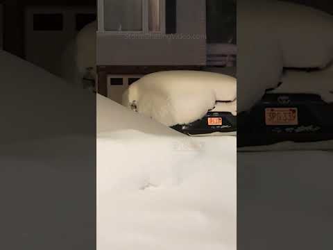 Winter Storm buries Neighborhoods in MA with huge snowfall