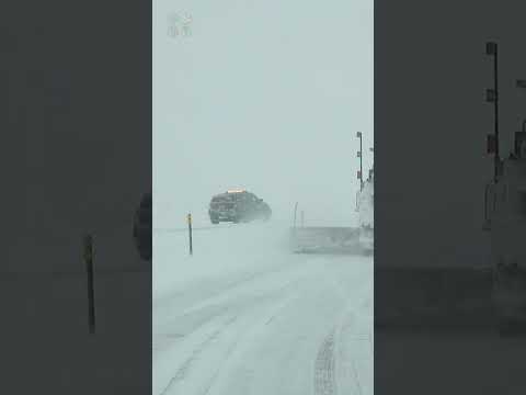Extreme Whiteout Blizzard Dangerous Driving in North Dakota this week