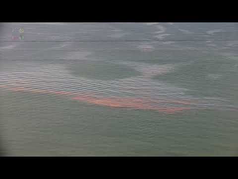 Massive Sargassum Seaweed Invasion IN The Florida Keys Covers Beaches